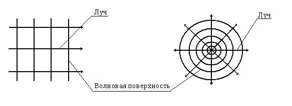 Примеры продольных и поперечных волн